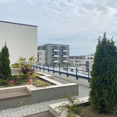 Astoria Apartment - Pet Friendly Braşov Esterno foto