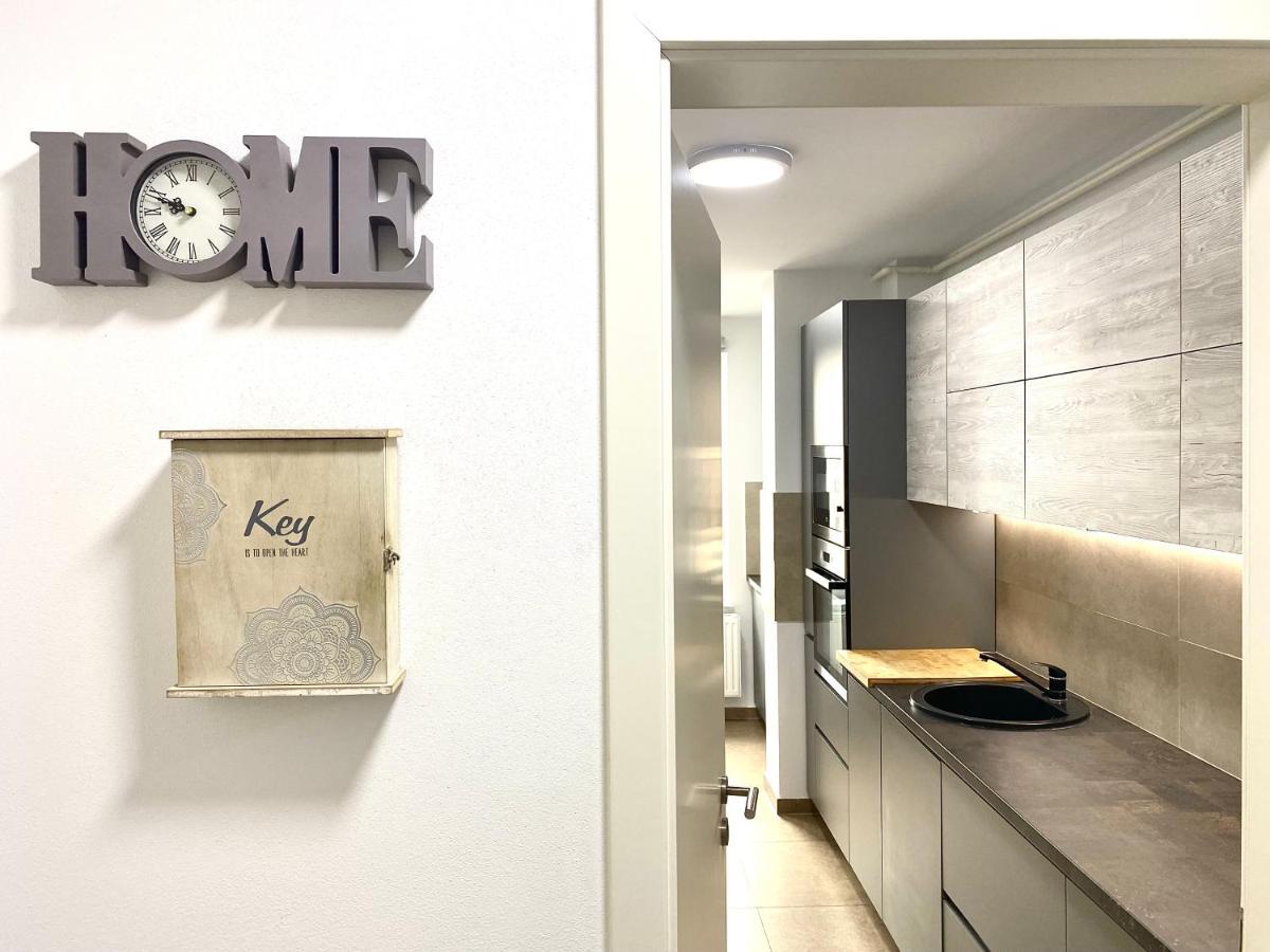 Astoria Apartment - Pet Friendly Braşov Esterno foto