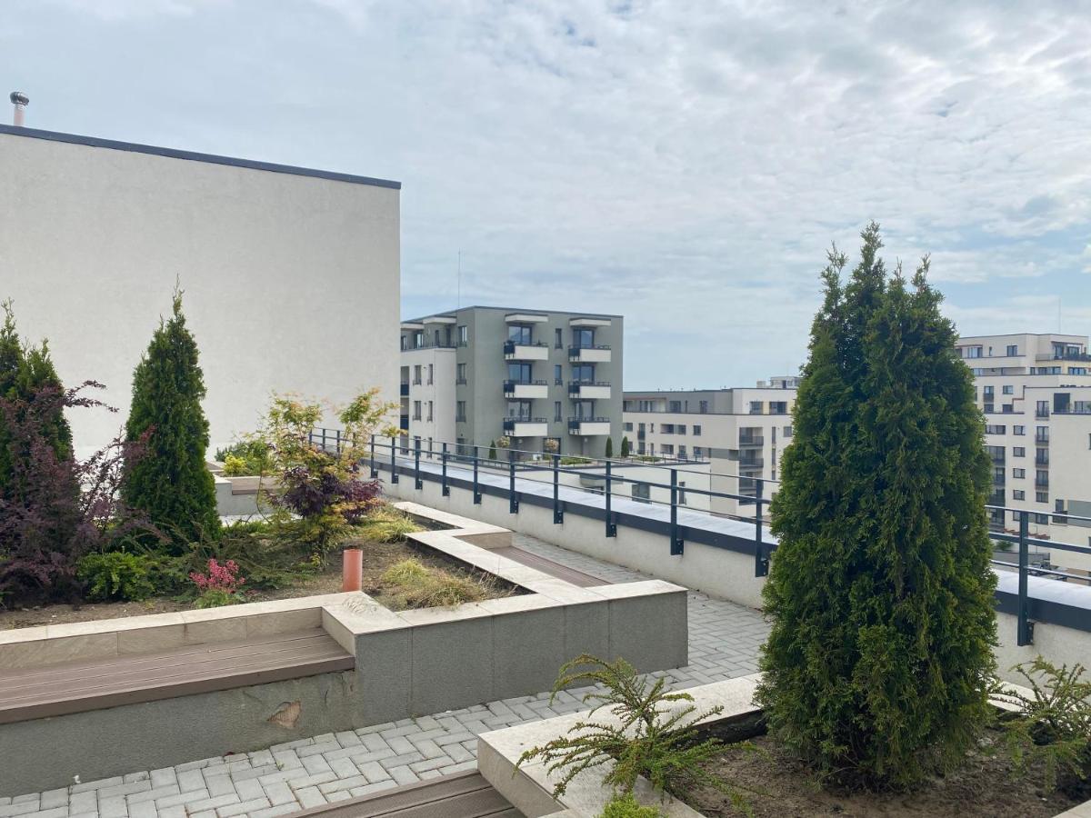Astoria Apartment - Pet Friendly Braşov Esterno foto