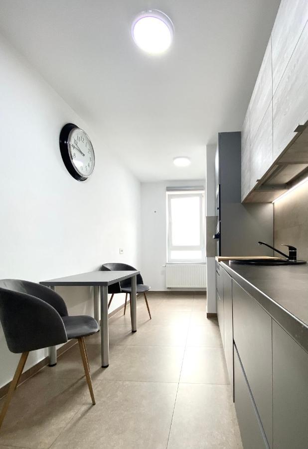 Astoria Apartment - Pet Friendly Braşov Esterno foto